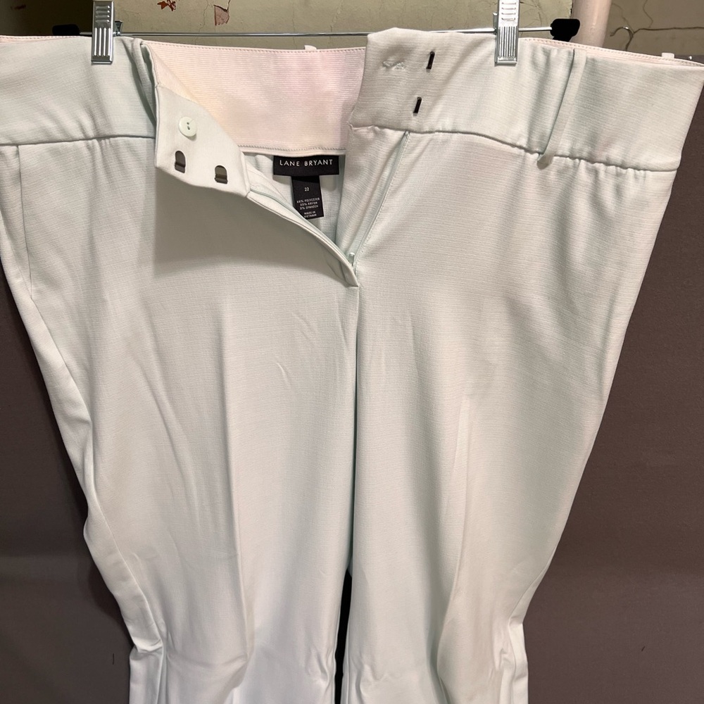 Lane Bryant Women's Pale Blue pants Lot 48